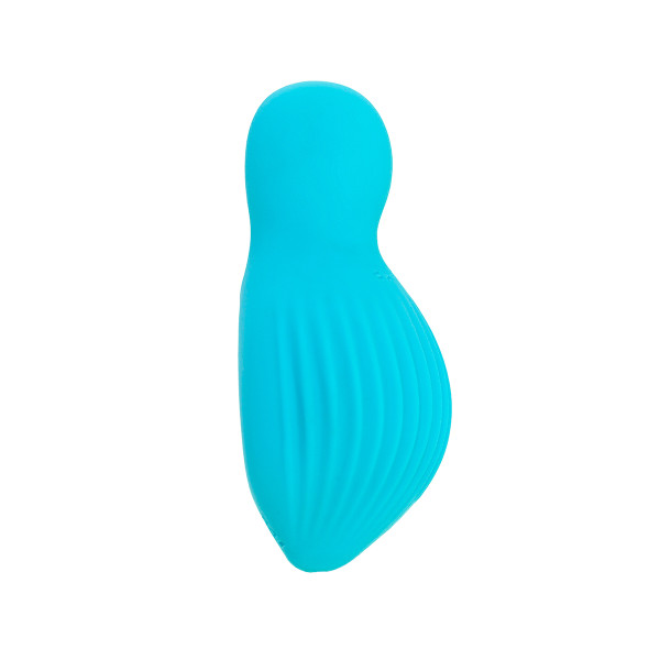 Mini vibro rechargeable EnchantedDesire bleu - FairyGasm