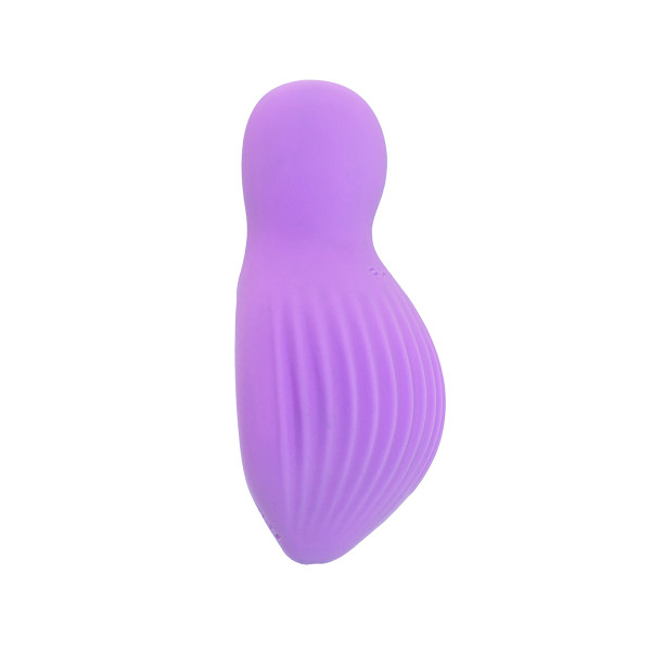 Mini vibro rechargeable EnchantedDesire violet - FairyGasm