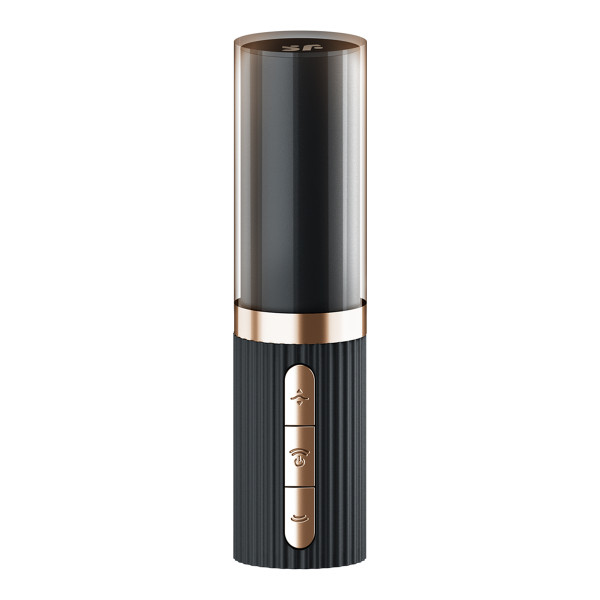 Stimulateur clitoridien Satisfyer Pro 2 Kiss 