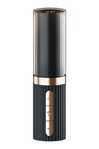 Stimulateur clitoridien Satisfyer Pro 2 Kiss 