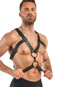 Harnais de bondage Rocco - Bedroom Fantasies