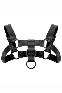 Harnais de bondage Bruno - Bedroom Fantasies